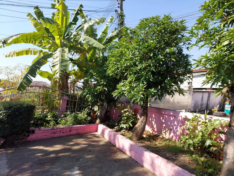 เช่า/ขายบ้านเดี่ยวชั้นเดี่ยวใกล้ถนนคนเดินอำเภอฝาง จังหวัดเชียงใหม่, Chiang Mai, โชตนา, Wiang, Fang, Chiang Mai, 3 Bedrooms, 120 sqm, Single Detached House For Sale, by HOMEPLUS REALTY - คุณริน, 500098881 - DDproperty.com