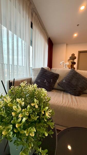 IDEO O2 Bangna, Bangkok, 195 Sanphawut Road, Bang Na Tai, Bang Na, Bangkok, 2 Bedrooms, 55 sqm, Condo For Rent, by Naphatkanok Chochong, 500099273 - DDproperty.com