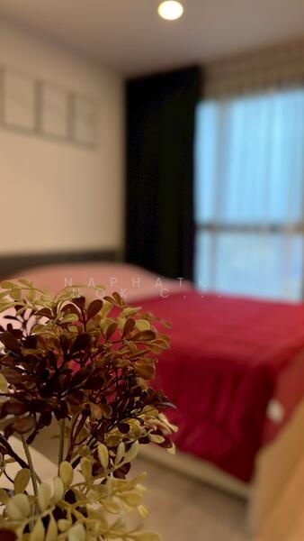 IDEO O2 บางนา, กรุงเทพ, 195 ถนนสรรพาวุธ, บางนาใต้, บางนา, กรุงเทพ, 55 ตร.ม., คอนโด ให้เช่า, โดย Naphatkanok Chochong, 500099273 - DDproperty.com