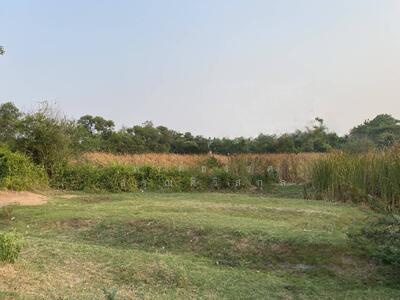 ขาย - ทีดินขอนแก่น10ไร่ เหมาะทำจัดสรร ใกล้ชุมชน เขตอ.เมืองขอนแก่น, ขอนแก่น