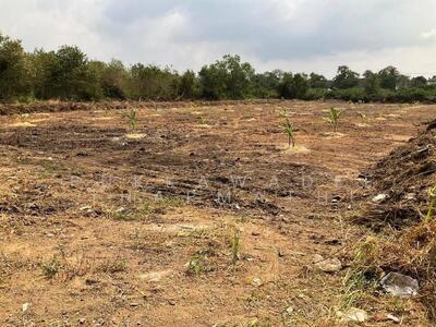 ขาย - ขายที่ดินแปลงใหญ่ จอมเทียน หลังร้านปูเป็น, ชลบุรี