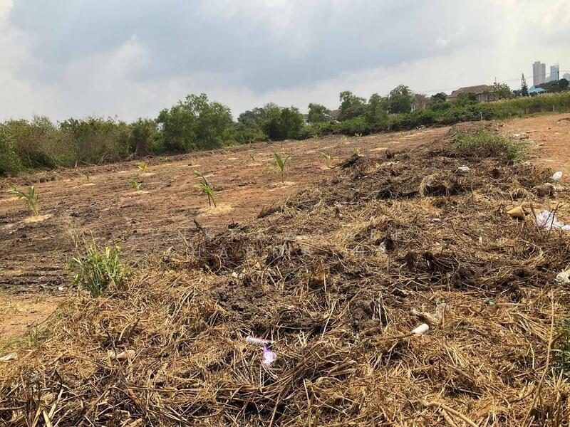 ขาย - ขายที่ดินแปลงใหญ่ จอมเทียน หลังร้านปูเป็น, ชลบุรี