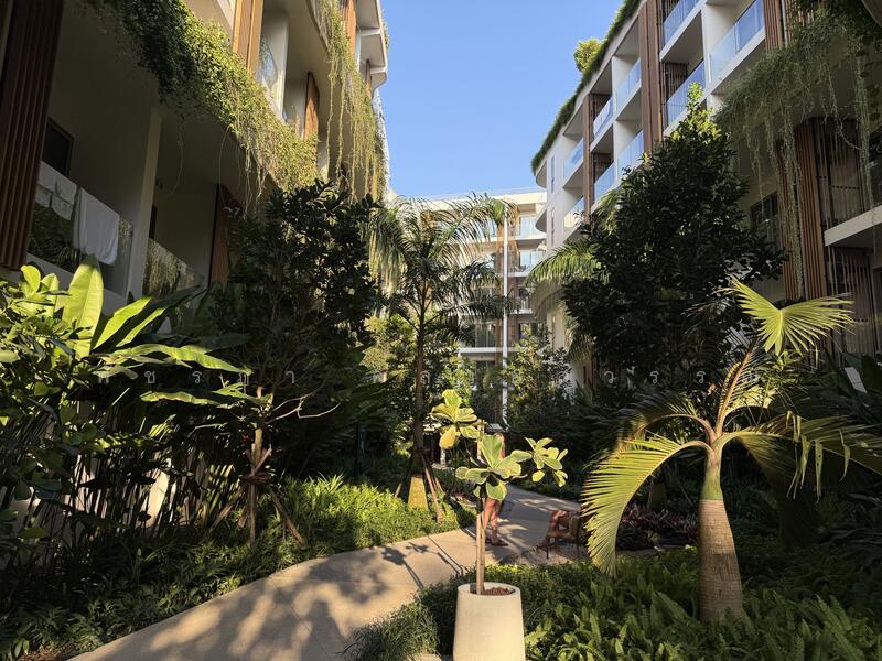 ให้เช่า - HOMA Cherngtalay : โฮม่า เชิงทะเล, ภูเก็ต