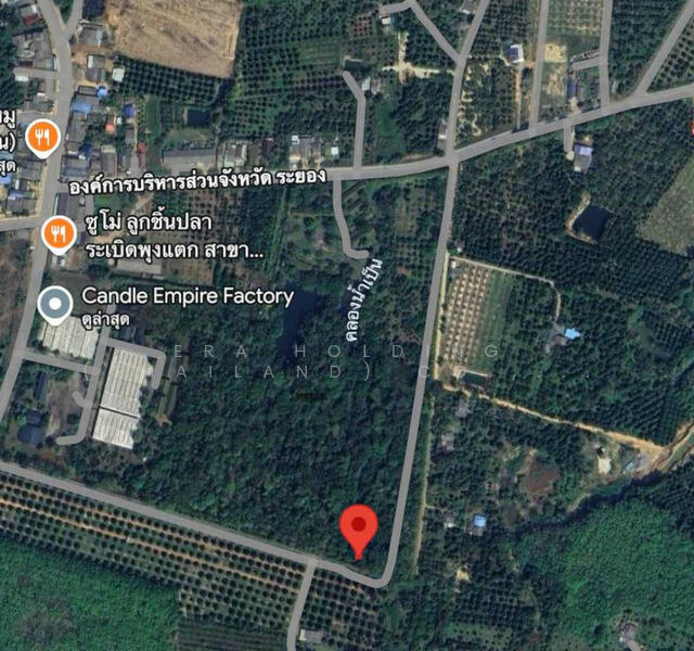 For Sale - พร้อมสวนป่า สวนผลไม้ และบ้านพักส่วนตัว, Rayong