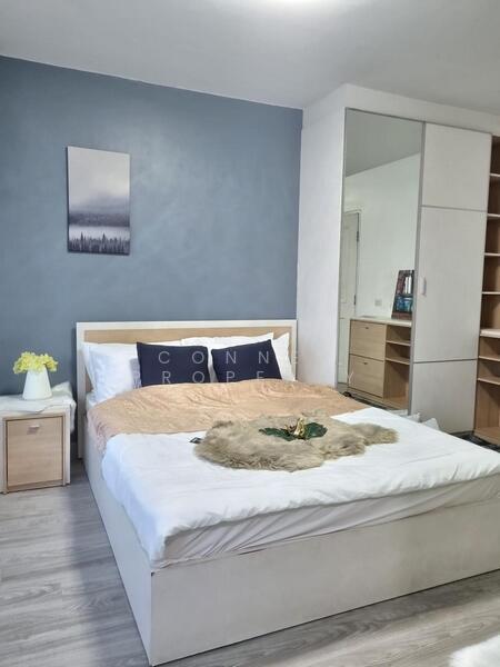 ให้เช่า - My Condo Sukhumvit 52 : มายคอนโด สุขุมวิท 52, กรุงเทพ