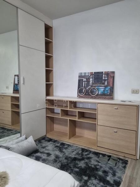 ให้เช่า - My Condo Sukhumvit 52 : มายคอนโด สุขุมวิท 52, กรุงเทพ