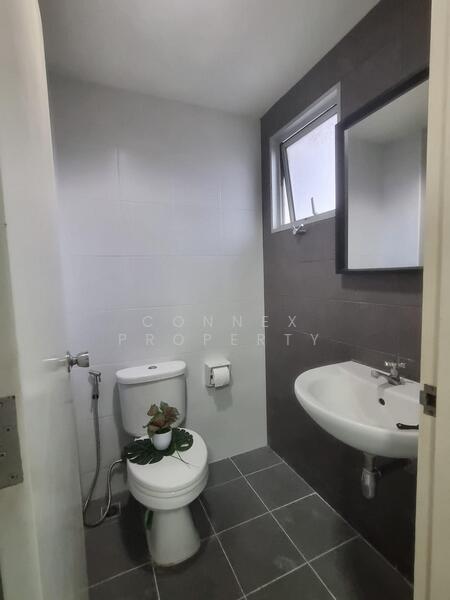 ให้เช่า - My Condo Sukhumvit 52 : มายคอนโด สุขุมวิท 52, กรุงเทพ