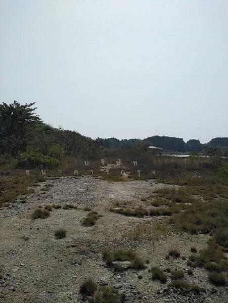 ขาย - ถนนสุขุมวิท สายเก่า กม.60, สมุทรปราการ