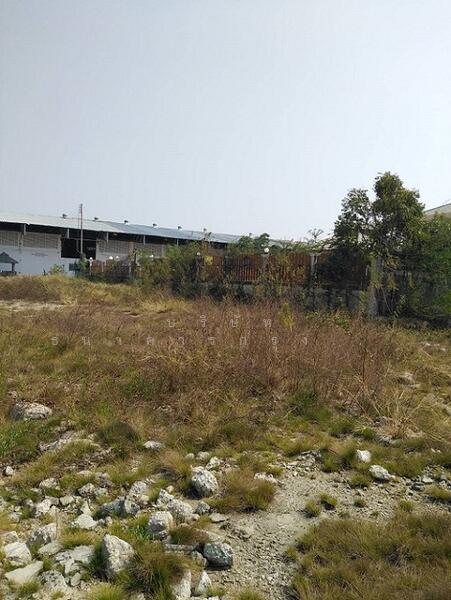 ขาย - ถนนสุขุมวิท สายเก่า กม.60, สมุทรปราการ