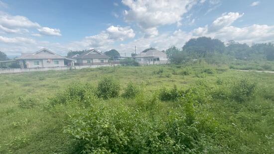 เชียงใหม่, Chiang Mai, Muang Len, San Sai, Chiang Mai, , 1,492 sqm, Land For Sale, by Chanakan Sakulboontanom, 500102095 - DDproperty.com