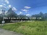 เชียงใหม่, เชียงใหม่