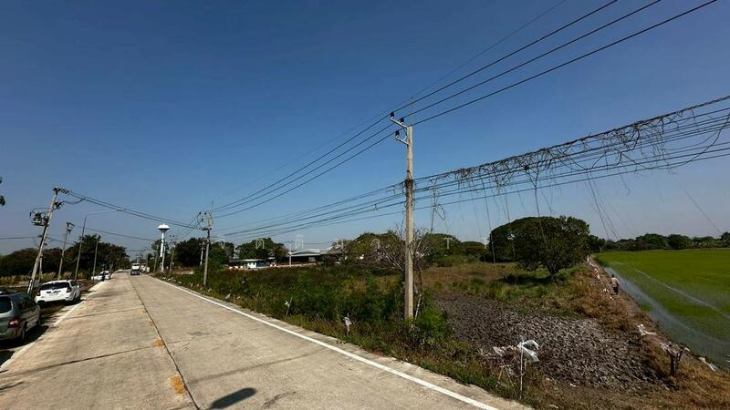 ขาย - ที่ดินติดถนน ปทุมธานี สามโคก, ปทุมธานี