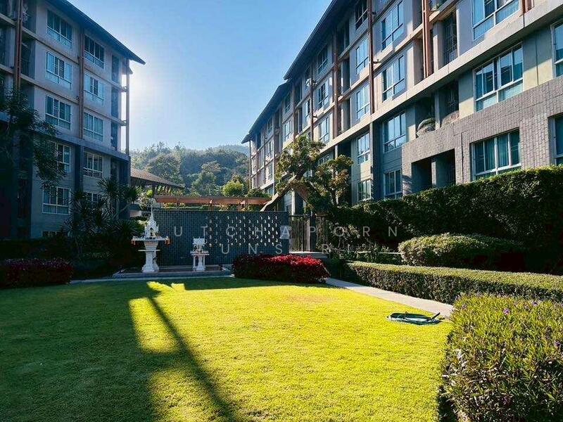 ให้เช่า - Dcondo Campus Resort Chiang Mai : ดีคอนโด แคมปัส รีสอร์ท เชียงใหม่, เชียงใหม่