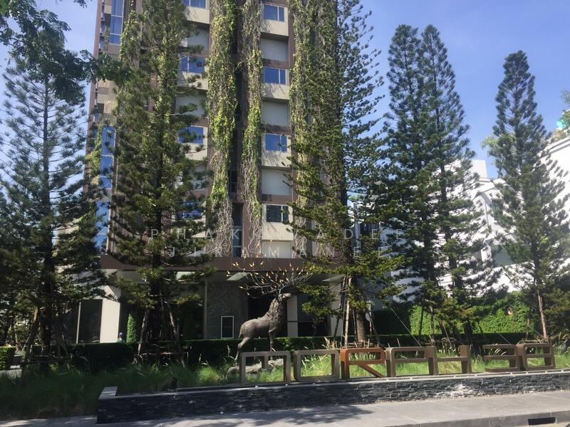 ASHTON Morph 38 : แอชตัน มอร์ฟ 38, กรุงเทพ, 88 ซอย สุขุมวิท 38, พระโขนง, คลองเตย, กรุงเทพ, 36 ตร.ม., คอนโด ให้เช่า, โดย Phakawadee Jiramanee, 500104206 - DDproperty.com