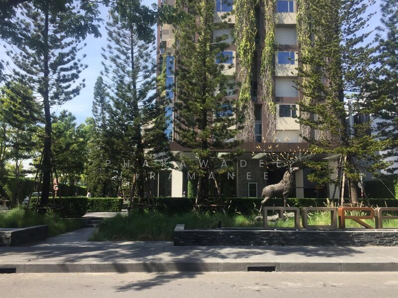 ASHTON Morph 38, Bangkok, 88 Soi Sukhumvit 38, Phra Kanong, Khlong Toei, Bangkok, 1 Bedroom, 36 sqm, Condo For Rent, by Phakawadee Jiramanee, 500104206 - DDproperty.com