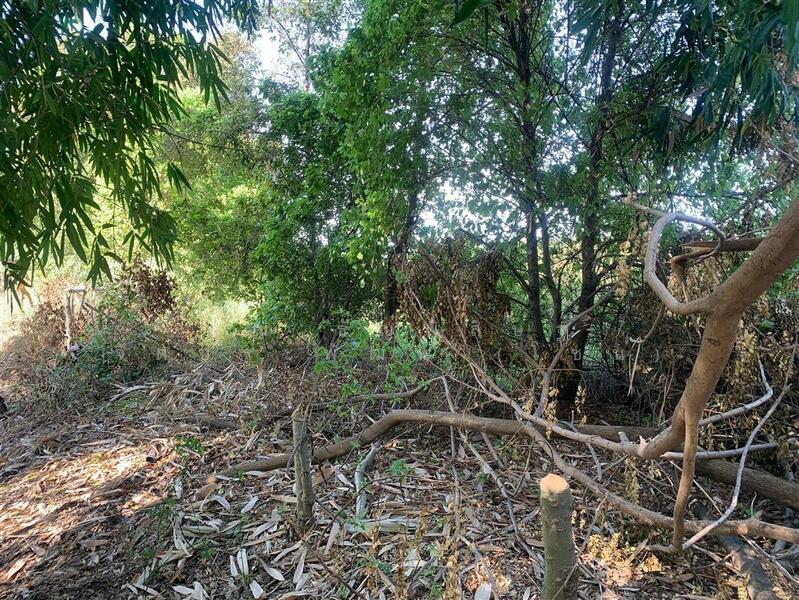 ขาย - ที่ดินเปล่า 458 ตร.ว. ที่ดินเปล่า ซอยราษฎร์อุทิศ10 (ซอย เพ็ชรรัตน์), กรุงเทพ