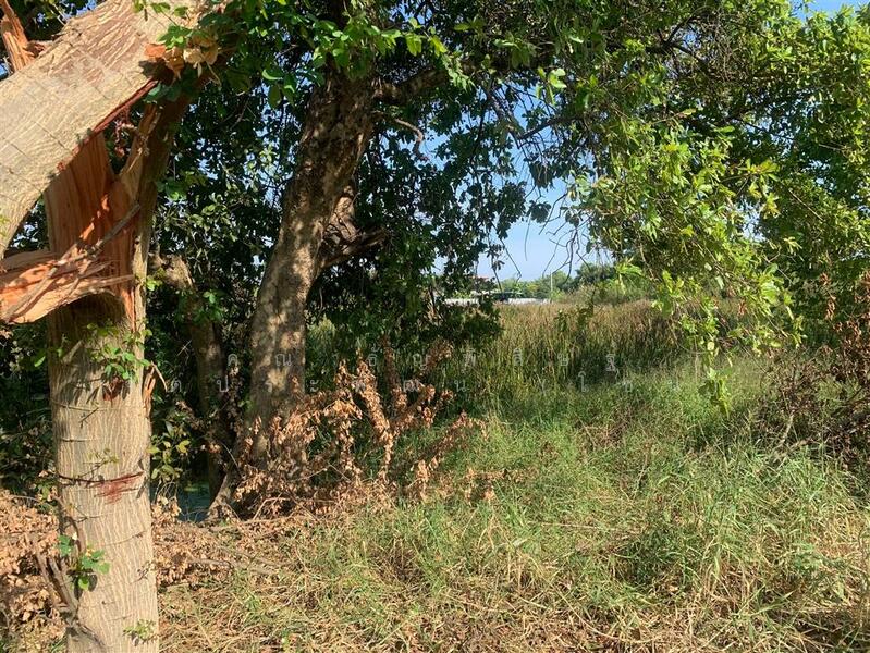 ขาย - ที่ดินเปล่า 458 ตร.ว. ที่ดินเปล่า ซอยราษฎร์อุทิศ10 (ซอย เพ็ชรรัตน์), กรุงเทพ