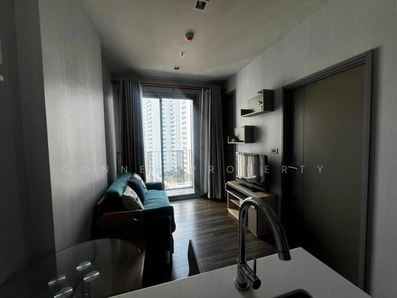 CEIL by Sansiri, Bangkok, 11 Soi Ekamai 12, Sukhumvit 63 Road, Khlong Tan Nua, Watthana, Bangkok, 1 Bedroom, 32 sqm, Condo For Rent, by Connex Property, 500105039 - DDproperty.com