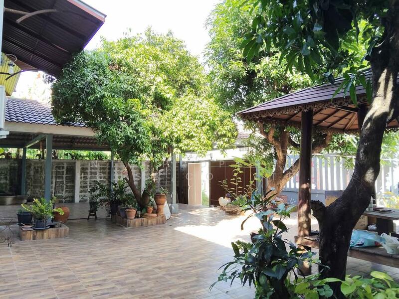 For Rent - NG193 ขายหรือให้เช่า บ้านเดี่ยวชั้นเดียว ลาดพร้าว โชคชัย4 เหมาะอยู่อาศัย หรือ ทำ Home Office, Bangkok