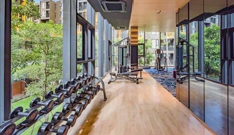 The Base Central, Phuket, Chao Fah Tawan Tok Rd, Wichit, Muang Phuket, Phuket, 1 Bedroom, 28 sqm, Condo For Sale, by Prime Global Asset Co.,Ltd, 500105530 - DDproperty.com