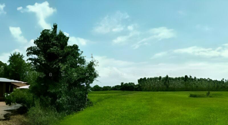 ขาย - ขายที่ดิน 6 ไร่ อ.ศรีมหาโพธิ จ.ปราจีนบุรี ใกล้ถนนหมายเลข 3070 และ อบต.หัวหว้า, ปราจีนบุรี