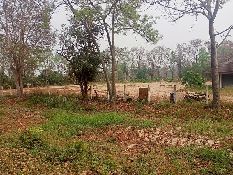 ขาย - ขายที่ดิน 40 ไร่ 0 งาน 67.5 ตร.ว. ติดถนนหมายเลข 1186 ใกล้กรมทหารพรานที่ 31 พะเยา, พะเยา