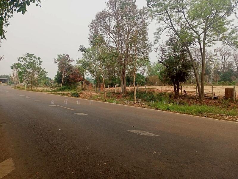 ขาย - ขายที่ดิน 40 ไร่ 0 งาน 67.5 ตร.ว. ติดถนนหมายเลข 1186 ใกล้กรมทหารพรานที่ 31 พะเยา, พะเยา