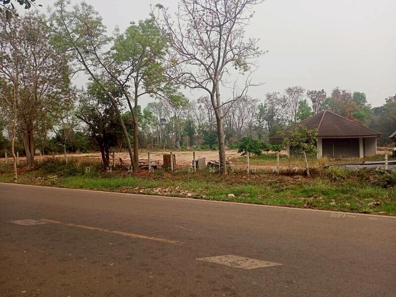 ขาย - ขายที่ดิน 40 ไร่ 0 งาน 67.5 ตร.ว. ติดถนนหมายเลข 1186 ใกล้กรมทหารพรานที่ 31 พะเยา, พะเยา