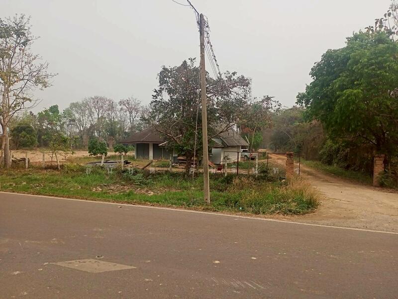 ขาย - ขายที่ดิน 40 ไร่ 0 งาน 67.5 ตร.ว. ติดถนนหมายเลข 1186 ใกล้กรมทหารพรานที่ 31 พะเยา, พะเยา