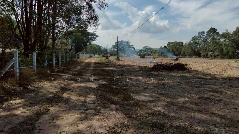 ขาย - ขายที่ดิน 40 ไร่ 0 งาน 67.5 ตร.ว. ติดถนนหมายเลข 1186 ใกล้กรมทหารพรานที่ 31 พะเยา, พะเยา