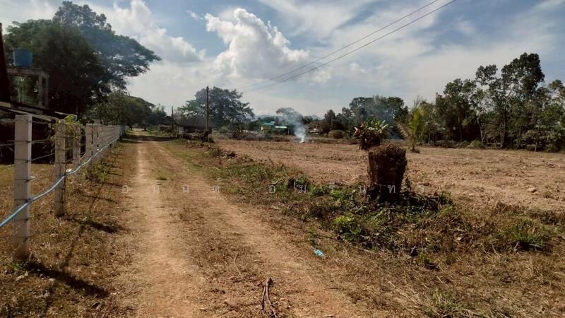 ขาย - ขายที่ดิน 40 ไร่ 0 งาน 67.5 ตร.ว. ติดถนนหมายเลข 1186 ใกล้กรมทหารพรานที่ 31 พะเยา, พะเยา