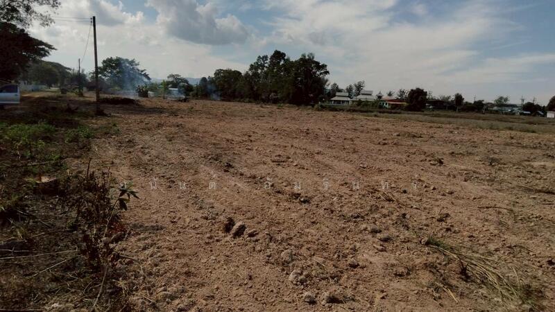 ขาย - ขายที่ดิน 40 ไร่ 0 งาน 67.5 ตร.ว. ติดถนนหมายเลข 1186 ใกล้กรมทหารพรานที่ 31 พะเยา, พะเยา