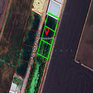 ขาย - ที่ดินเปล่า3แปลง แปลงละ100ตรว. ซ.สังฆสันติสุข48/1 หนองจอก, กรุงเทพ