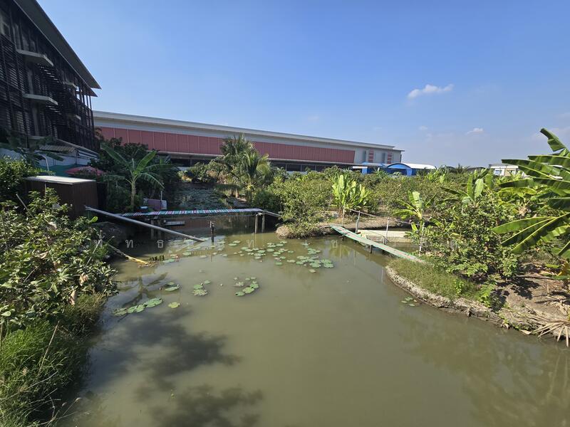 ให้เช่า - Ploen Ploen Condo Ratchapruek-Westville : เพลิน เพลิน คอนโดมิเนียม ราชพฤกษ์-เวสต์วิลล์, นนทบุรี