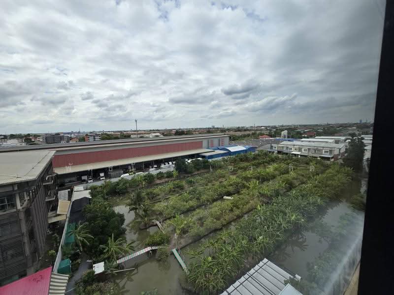 Ploen Ploen Condo Ratchapruek-Westville : เพลิน เพลิน คอนโดมิเนียม ราชพฤกษ์-เวสต์วิลล์, นนทบุรี, ถนนปลายบาง, มหาสวัสดิ์, บางกรวย, นนทบุรี, 33 ตร.ม., คอนโด ให้เช่า, โดย พัทธนันท์ เชาวลิต, 500107481 - DDproperty.com