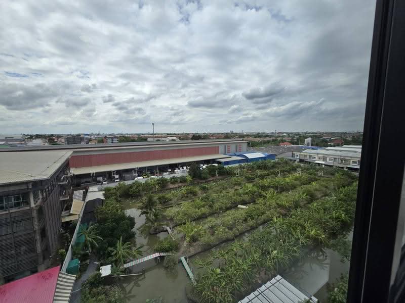 Ploen Ploen Condo Ratchapruek-Westville : เพลิน เพลิน คอนโดมิเนียม ราชพฤกษ์-เวสต์วิลล์, นนทบุรี, ถนนปลายบาง, มหาสวัสดิ์, บางกรวย, นนทบุรี, 33 ตร.ม., คอนโด ให้เช่า, โดย พัทธนันท์ เชาวลิต, 500107481 - DDproperty.com