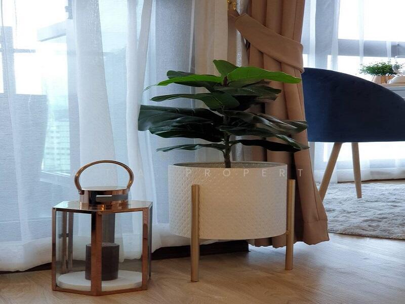 Ladda Plus Sriracha, Chon Buri (Pattaya), 100 Si Racha Nakhon 3, Si Racha, Si Racha, Chon Buri (Pattaya), Studio, 34 sqm, Condo For Rent, by A.T.A. Property, 500107861 - DDproperty.com