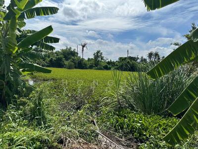 ขาย - ที่ดินเปล่า 2-3-22 ไร่ บางบอน3 ซอย8, กรุงเทพ