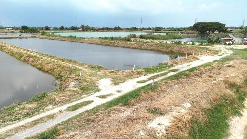 ขาย - ขาย บ่อกุ้ง บ้านโพธิ์ ฉะเชิงเทรา ใกล้ มินิ มูร่าฟาร์ม ตร.ว.ละ 1,500 บาท, ฉะเชิงเทรา