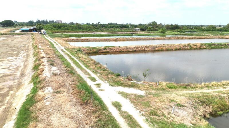 ขาย - ขาย บ่อกุ้ง บ้านโพธิ์ ฉะเชิงเทรา ใกล้ มินิ มูร่าฟาร์ม ตร.ว.ละ 1,500 บาท, ฉะเชิงเทรา