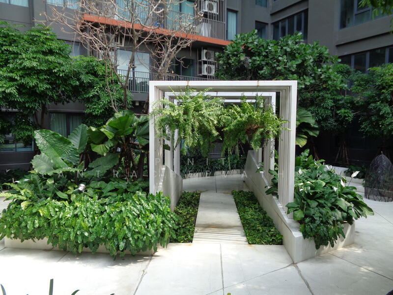 C Ekkamai, Bangkok, 888 Soi Sukhumvit 63, Sukhumvit Road, Khlong Tan Nua, Watthana, Bangkok, 1 Bedroom, 44 sqm, Condo For Sale, by Pinit Tantracheevathorn, 500108277 - DDproperty.com