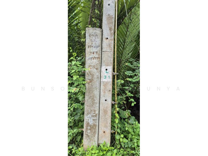 ขาย - 💥 ขายที่ดินโฉนด 4 ไร่ 1 งาน 50.7 ตร.ว. ต.บางใบไม้ อ.เมือง สุราษฎร์ธานี, สุราษฎร์ธานี