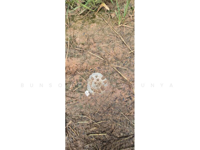 ขาย - 💥 ขายที่ดินโฉนด 4 ไร่ 1 งาน 50.7 ตร.ว. ต.บางใบไม้ อ.เมือง สุราษฎร์ธานี, สุราษฎร์ธานี