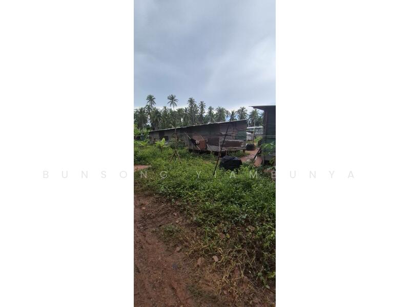 ขาย - 💥 ขายที่ดินโฉนด 4 ไร่ 1 งาน 50.7 ตร.ว. ต.บางใบไม้ อ.เมือง สุราษฎร์ธานี, สุราษฎร์ธานี