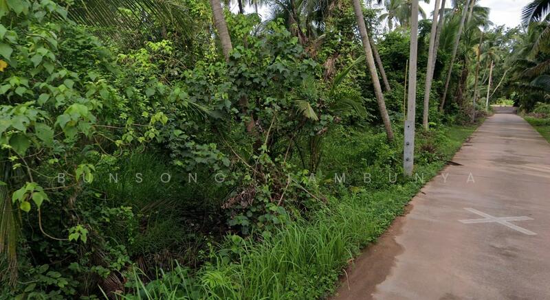 ขาย - 💥 ขายที่ดินโฉนด 4 ไร่ 1 งาน 50.7 ตร.ว. ต.บางใบไม้ อ.เมือง สุราษฎร์ธานี, สุราษฎร์ธานี