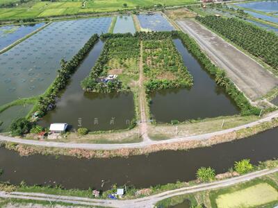 ขาย - เขาย้อย, เพชรบุรี