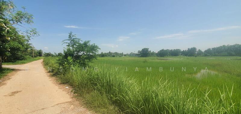 ขาย - 🔥 ขายที่ดินแปลงสวย 4 ไร่ เมืองกาฬสินธุ์ โฉนดพร้อมโอน 🔥, กาฬสินธุ์