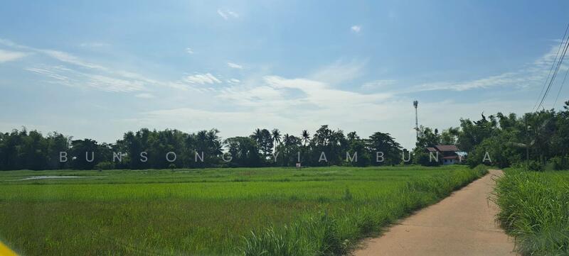 ขาย - 🔥 ขายที่ดินแปลงสวย 4 ไร่ เมืองกาฬสินธุ์ โฉนดพร้อมโอน 🔥, กาฬสินธุ์