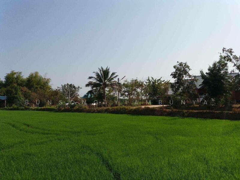 ขาย - 🔥 ขายที่ดินแปลงสวย 4 ไร่ เมืองกาฬสินธุ์ โฉนดพร้อมโอน 🔥, กาฬสินธุ์