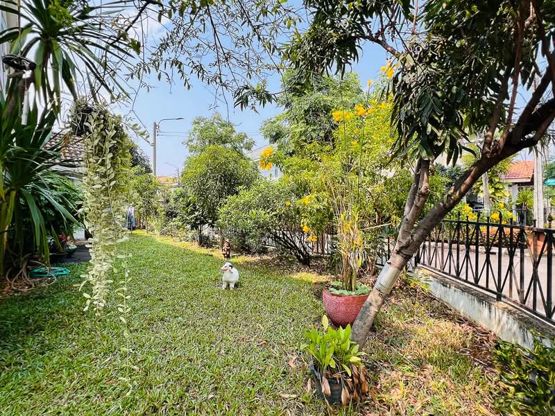 Pattra Ramkhamhaeng 76, Bangkok, รามคำแหง 76, Hua Mak, Bang Kapi, Bangkok, 4 Bedrooms, 250 sqm, Single Detached House For Rent, by Somchai Ruechajirakit, 500108354 - DDproperty.com